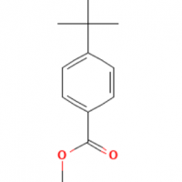 Methyl 4 Tert Butyl Benzoate CAS 26537-19-9