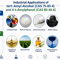 Industrial applications of tert-Amyl Alcohol and 4-t-Amylphenol in specialty chemical manufacturing.