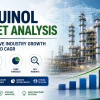 Mequinol market analysis showing industry growth trends and CAGR forecast