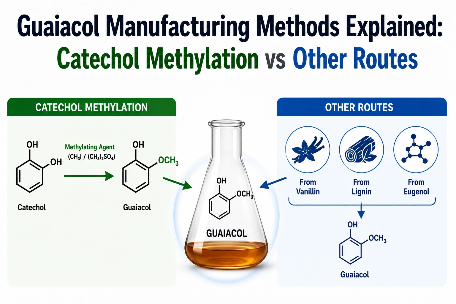 Guaiacol manufacturing methods comparing catechol methylation with alternative production routes